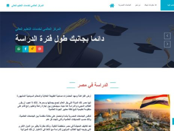 studyineg.com