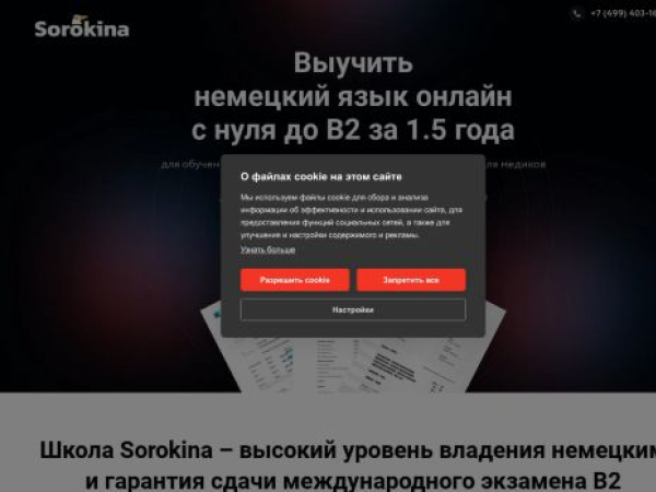 sorokinaschool.ru
